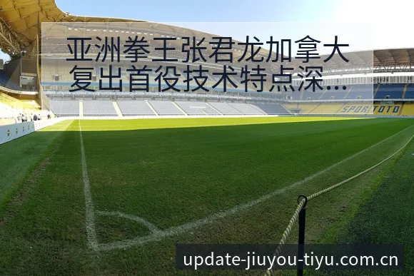 亚洲拳王张君龙加拿大复出首役技术特点深度解析与阵容影响 - 九游体育APP